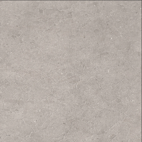 INFINITI 60X60 GRACILLIS GREY (AS)